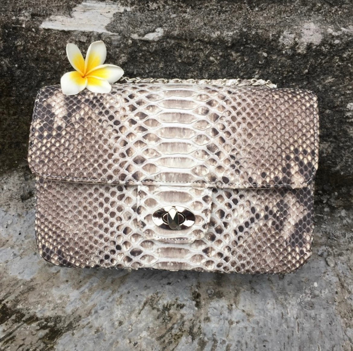 Echte Python-Haut-Crossbody-Natürliche Skala Graue Tasche | Sommer Kette Crossbody Bag Elegante Python Ledertasche Damen Echte Python-Haut-Crossbody-Natürliche Skala Graue Tasche | Sommer Kette Crossbody Bag Elegante Python Ledertasche Damen von HEDONISTBALI