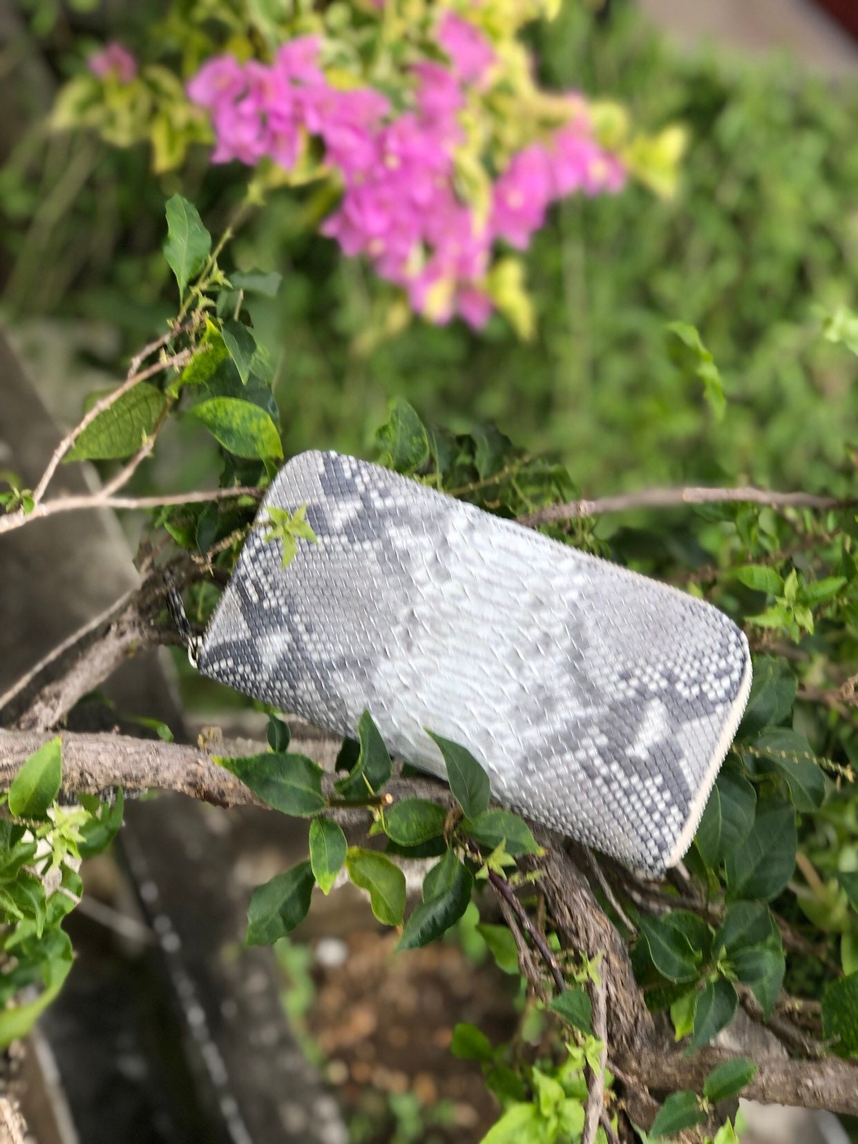 Echte Pythonleder Geldbörse | Geldbeutel Aus Echtleder Groß Unisex Python Leder Organizer Grau Frau Geld Dokumentenhalter von HEDONISTBALI
