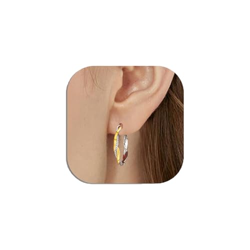 HEEYA Silber Ohrringe Creolen für Damen Sterling Silber 925 Creolen 14 Karat Gold/Weißgold Plattiert Twisted Creolen Ohrringe Gedrehte Creolen mit Zirkonia Klein Mittle Groß Creolen Hypoallergen von HEEYA