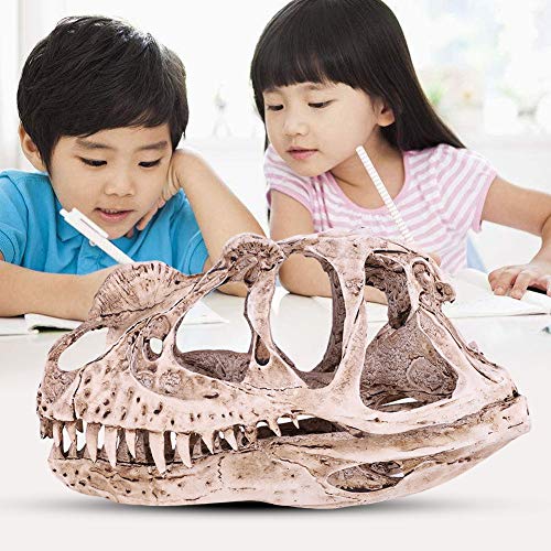 HELEVIA Harz Dinosaurier Schädel Modell Simuliertes Tier Skelett Home Office Handwerk Lehre Prop HELEVIA Harz Dinosaurier Schädel Modell Simuliertes Tier Skelett Home Office Handwerk Lehre Prop von HELEVIA