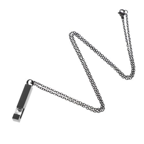 HEMOTON Urnenanhänger Halskette Andenken Schmuck für Frauen Männer Gedenkschmuck Personalisierte Urnenkette mit Schwarzem April Geburtsstein Langlebig und Rostfrei von HEMOTON