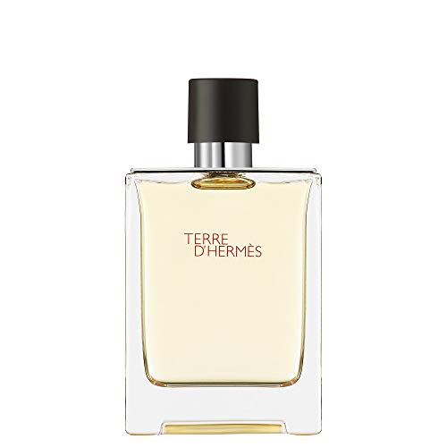 Hermes: Terre dHermes homme/man, Eau de Toilette, Vaporisateur/Spray (100 ml) von Hermes