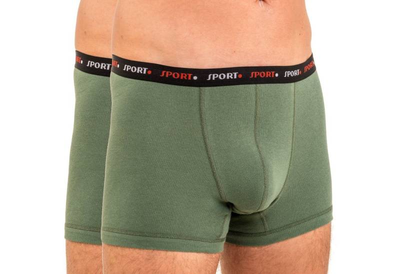 HERMKO Retro Boxer 8950 2er Pack Herren Retropant von HERMKO