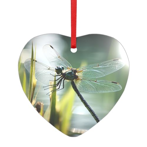 Libellen-Acryl-Anhänger mit einem roten Band, jeder Anhänger ist perforiert mit einem 25 cm langen roten Band, One Size von HFDERW