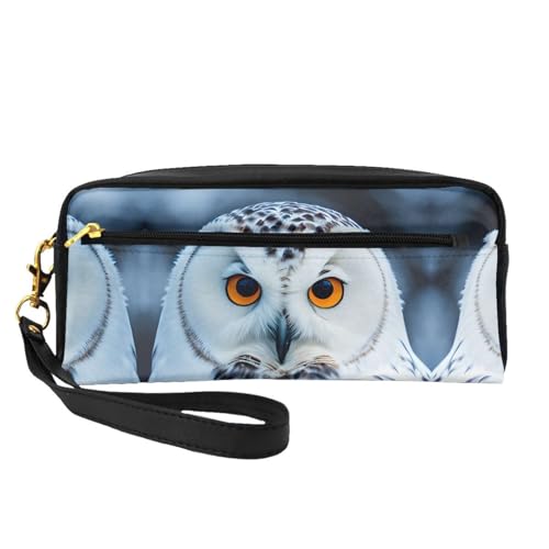 HGFVY Make-up-Tasche mit schneebedeckten Eulen-Augen, kleine Reise-Make-up-Organizer-Tasche für Damen, doppellagig, tragbare Make-up-Tasche, Schwarz, Einheitsgröße von HGFVY