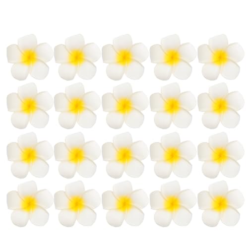 HIAKDOFT 20stücke Blumen-haarspangen Mit Plumeria-blumen Haarschmuck Für Frauen Und Mädchen Haarnadeln Mit Für Hochzeit Und Party von HIAKDOFT