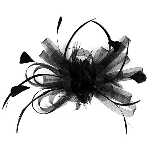 Fascinator Hut Feder Netz Schleier Party Hut H¨¹te Blume Hut mit Clip und Haarband f¨¹r Frauen von HIDOLL