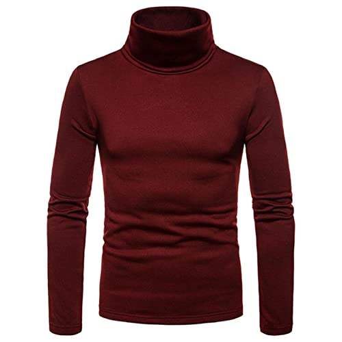 HIHELO Rollkragen Männer Casual Slim Fit Basic Rollkragen Strickpullover Hoher Kragen Pullover Männlichen Doppelkragen Herbst Winter Tops von HIHELO