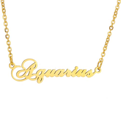 HIJONES 12 Sternzeichen Halskette für Damen Edelstahl Personalisierte Horoskop Kette Zarter Anhänger Schmuck in Gold Wassermann von HIJONES