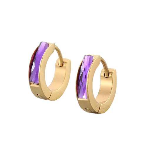 HIJONES Bunte Zirkon Creolen Edelstahl Ohrringe für Frauen Edelstein Huggie Ohrschmuck Gold Lila von HIJONES