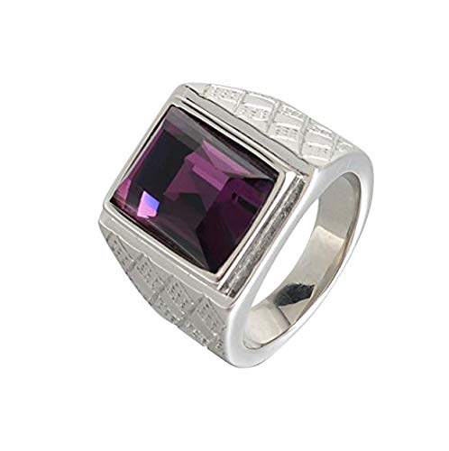 HIJONES Herren 18MM Klassisch 18K Vergoldet Geburtsstein Lila Stein Ring aus Edelstahl Silber Größe 54 (17.2) von HIJONES