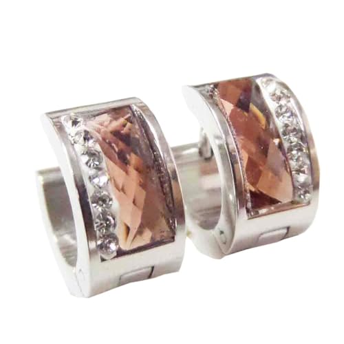 HIJONES Mehrfarbige Versilberte Edelsteinohrringe für Frauen Reifen Huggie Ohrringe Eleganter Zirkonia Ohrschmuck Champagner von HIJONES