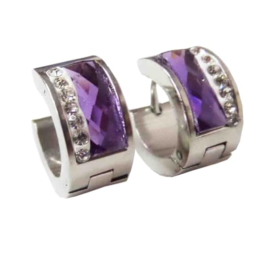 HIJONES Mehrfarbige Versilberte Edelsteinohrringe für Frauen Reifen Huggie Ohrringe Eleganter Zirkonia Ohrschmuck Lila von HIJONES