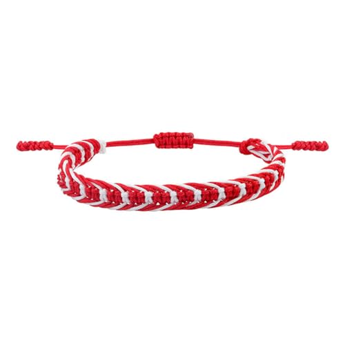 HIJONES Unisex Rainbow LGBT Pride Geflochtenes Armband Handgefertigt Geflochtene LGBTQ Pride Armbänder Geflochtenes Handgelenkband Schmuck Stil 5 von HIJONES