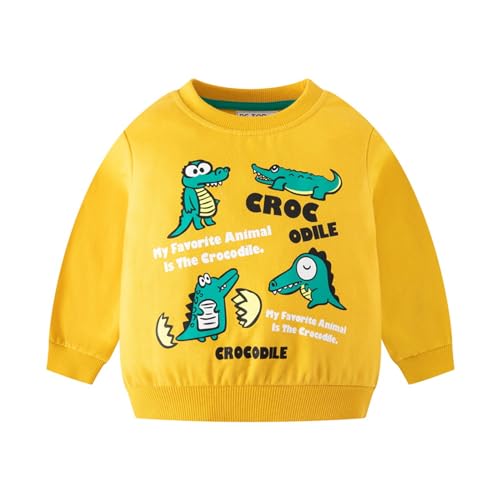 HIKIDS Jungen Sweatshirts Kinder Langarm Pullover Top Sportlich Crewneck Dinosaurier Kapuzenpullover T-Shirt Streetwear Kinderkleidung 98 von HIKIDS