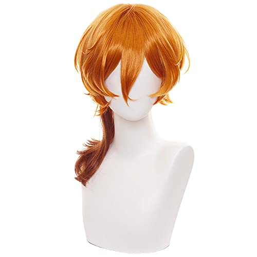 HIROAKIYA Chuuya Nakahara Wig, Bungou Stray Dogs Chuuya Nakahara Cosplay Wig with Wig Cap, Length approx.45cm von HIROAKIYA