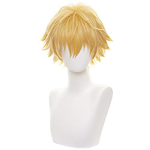 HIROAKIYA Denji Wig, Chainsaw Man Denji Cosplay Wig with Wig Cap, Length approx.30cm von HIROAKIYA