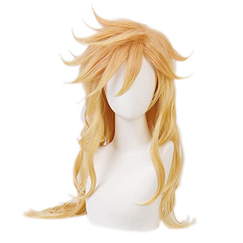 HIROAKIYA Douma Wig, Demon Slayer Kimetsu no Yaiba Douma Cosplay Wig with Wig Cap von HIROAKIYA