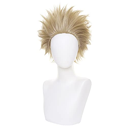 HIROAKIYA Keigo Takami Hawks Wig, MHA Keigo Takami Hawks Cosplay Wig with Wig Cap von HIROAKIYA