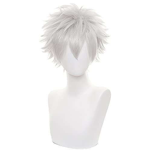 HIROAKIYA Sakata Gintoki Wig, Gintama Sakata Gintoki Cosplay Wig with Wig Cap, Length approx.30cm von HIROAKIYA