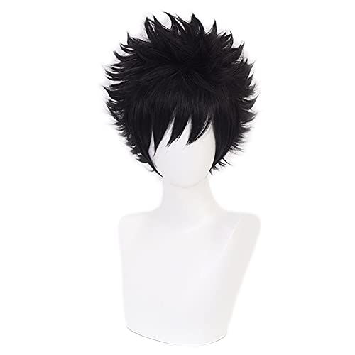 HIROAKIYA Toya Todoroki Dabi Wig, MHA Toya Todoroki Dabi Cosplay Wig with Wig Cap von HIROAKIYA