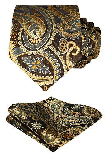 HISDERN Krawatten Set Herren Gold Extra Lange Paisley Krawatten und Einstecktuch Elegante Hochzeit Seidenkrawatte Taschentuch für Männer von HISDERN