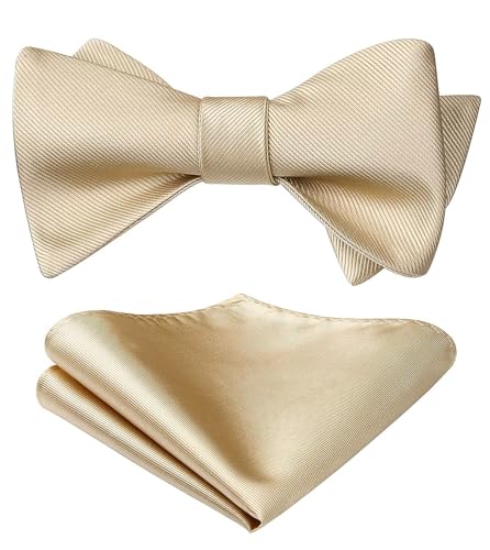HISDERN Herren Einfarbig Fliege Einstecktuch Set Hochzeitsfeier Zubehör （Cremeweiß） von HISDERN