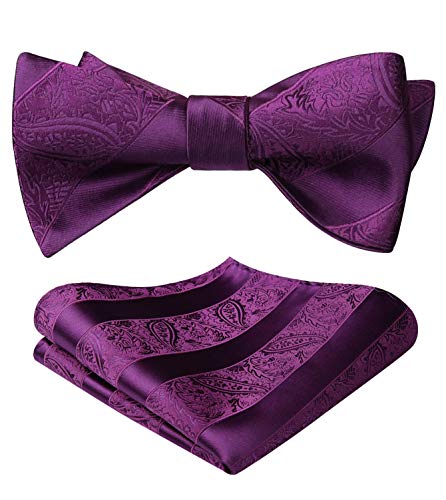 HISDERN Fliege Herren Set Violett Fliegen mit Einstecktuch Formale Klassische Paisley Verstellbar Selbst Fliege für Bräutigam Hochzeit Party Fasching von HISDERN