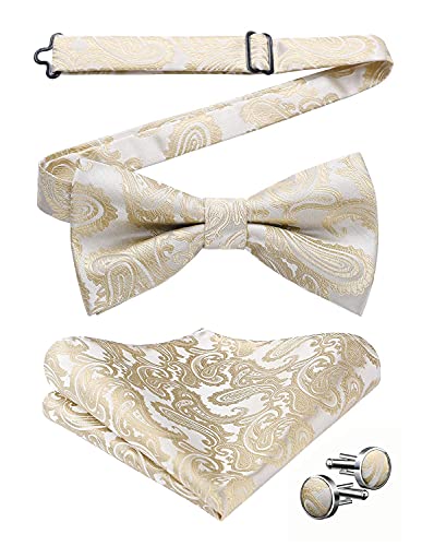 HISDERN Fliege Beige Herren Paisley Fliegen und Einstecktuch mit Manschettenknöpfe Set Verstellbare Fliege Taschentuch für Hochzeit Party Weihnachten,Beige von HISDERN