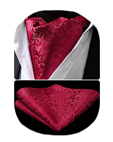 HISDERN Rot Krawattenschal Herren Paisley Halstuch Ascot-Krawatte Seide Ascot Krawatte und Einstecktuch Set für Elegant Hochzeit Party,Rot,Einheitsgröße von HISDERN