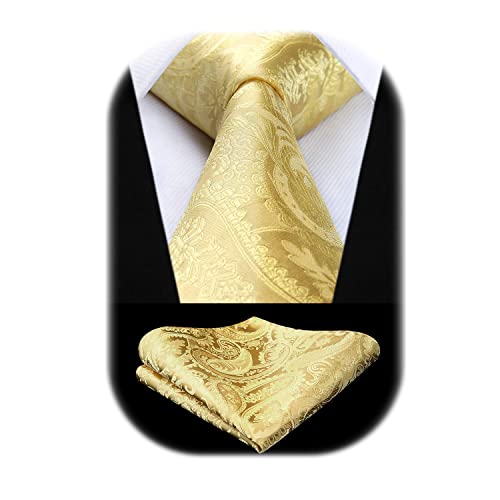 HISDERN Herren Krawatte Gold Hochzeit Gelb Krawatten mit Einstecktuch Set Klassisch Paisley Schlips fur Manner von HISDERN