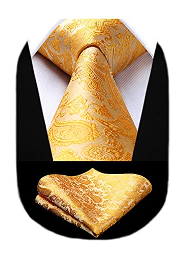HISDERN Herren Krawatte Taschentuch Paisley Krawatte & Einstecktuch Set Blumen Jacquard Gewebt Schlips Einfarbig (Gold) von HISDERN
