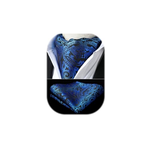 HISDERN Herren Krawattenschal Paisley Blumen Krawattenschal mit Einstecktuch Taschentuch Set Halstuch fur Hochzeit Business Punkt Ascot Krawatte und Einstecktuch von HISDERN