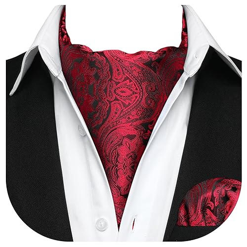 HISDERN Herren Krawattenschal Rot Hochzeit Elegant Halstuch und Einstecktuch Set Paisley Seide Ascot Krawatte mit Taschentuch für Männer von HISDERN