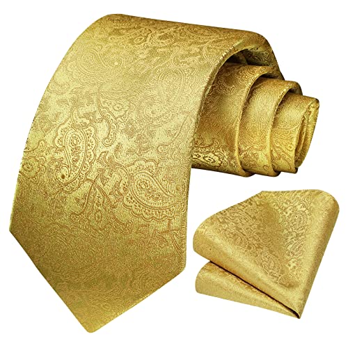 HISDERN Herren Paisley Gold Krawatte für Hochzeit Krawatte Einstecktuch Herren Krawatte & Einstecktuch Set von HISDERN