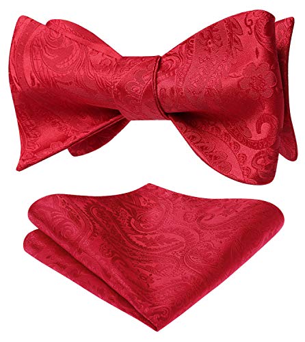 HISDERN Fliege Herren Rot Klassische Paisley Fliege mit Einstecktuch Set Verstellbare Selbst Herrenfliegen für Bräutigam Hochzeit Party Fasching von HISDERN