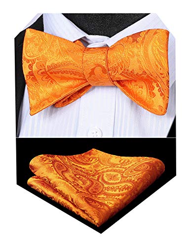 HISDERN Fliege Herren Set Orange Fliegen mit Einstecktuch Formale Klassische Paisley Verstellbar Selbst Fliege für Bräutigam Hochzeit Party Fasching von HISDERN