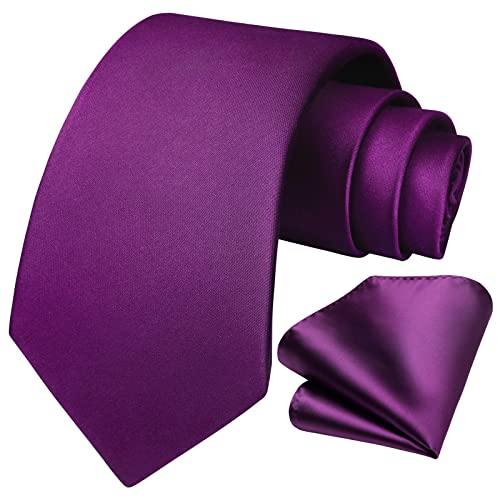 HISDERN Krawatte Lila Business Krawatte mit Einstecktuch Hochzeit Party Krawatten Set für Männer Geschenke zum Valentinstag Herren krawatte taschentuch,Violett von HISDERN