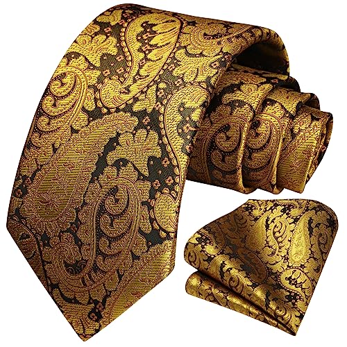 HISDERN Krawatte Herren Paisley Krawatte und Einstecktuch Set Krawatten Gold von HISDERN