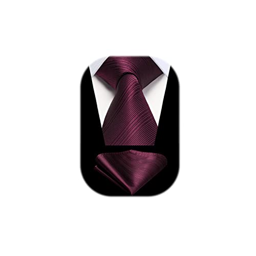 HISDERN Krawatten Burgund Herren Hochzeit Krawatte mit Einstecktuch Klassisch Business Krawatte & Taschentuch Set von HISDERN