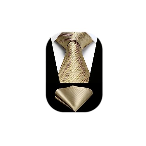 HISDERN Krawatten Champagne Herren Hochzeit Krawatte mit Einstecktuch Klassisch Business Krawatte & Taschentuch Set von HISDERN