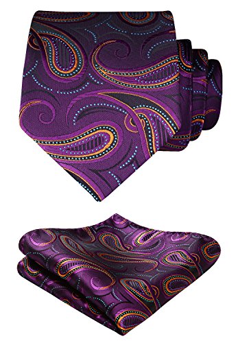 HISDERN Krawatten für Herren Hochzeit Violett Paisley Krawatten Taschentuch Blumen Elegant Klassisch Krawatte & Einstecktuch Set von HISDERN