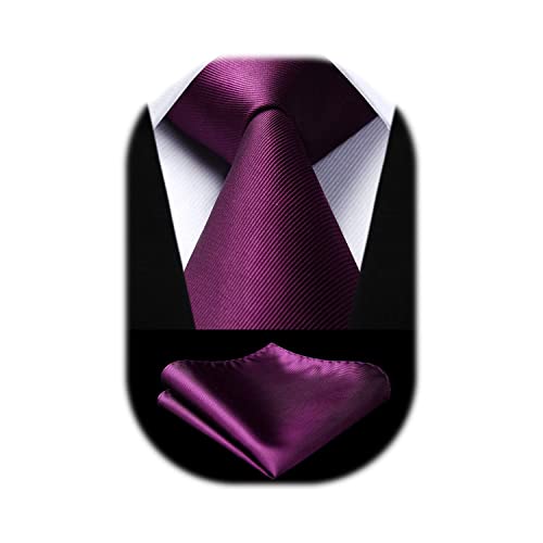 HISDERN Krawatten für Herren Lila Krawatte und Einstecktuch im Set Klassische Seide Bindung für Hochzeitsfest-Geschäft von HISDERN