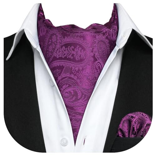 HISDERN Krawattenschal Herren Lila Elegant Seide Halstuch und Taschentuch Paisley Ascot Krawatte mit Einstecktuch Set für Hochzeit von HISDERN