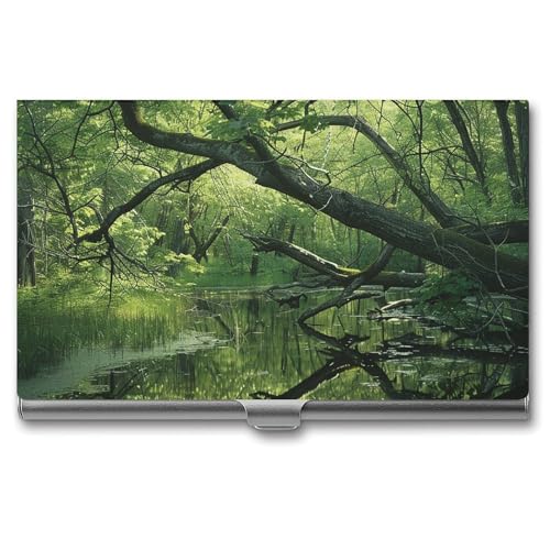 An Ancient Swamp Metall-Visitenkartenetui für Männer und Frauen, schlanke Tasche, Geldbörse, mehrere Brieftaschen, professioneller Kartenhalter für Namenskarte, Kreditkarte, Stil, Einheitsgröße, von HJKBCV