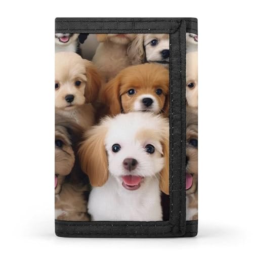 HJKBCV Cute Dogs Trifold Wallet Credit Card Purse Portable Outdoor Sports Wallets Pocket Coin Wallet with ID Window for Men Women, style, One Size, Stil:, Einheitsgröße von HJKBCV