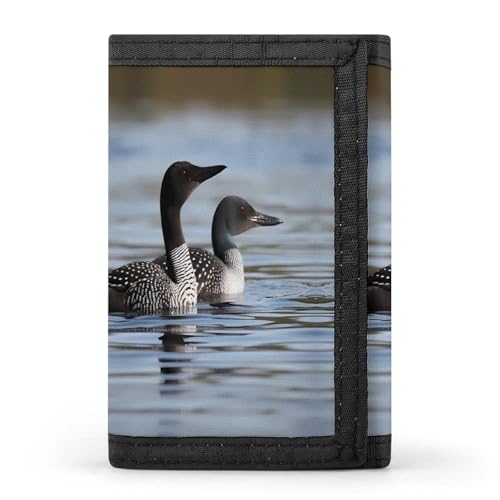 HJKBCV Loon Birds Trifold Wallet Credit Card Purse Portable Outdoor Sports Wallets Pocket Coin Wallet with ID Window for Men Women, Style, One Size, Stil:, Einheitsgröße HJKBCV Loon Birds Trifold Wallet Credit Card Purse Portable Outdoor Sports Wallets Pocket Coin Wallet with ID Window for Men Women, Style, One Size, Stil:, Einheitsgröße von HJKBCV