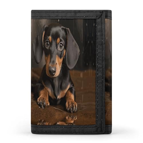 HJKBCV Süßer Dackel dreifach gefaltete Geldbörse Kreditkarten-Geldbörse, tragbare Outdoor-Sportgeldbörse, Münzgeldbörse mit Ausweisfenster für Männer und Frauen, Stil, Einheitsgröße, Stil:, von HJKBCV