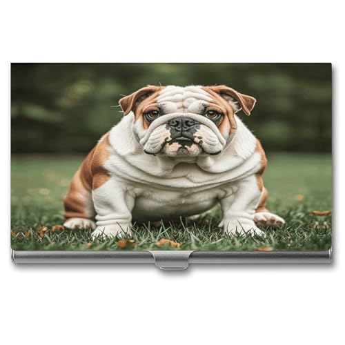 Niedliche englische Bulldogge, Metall-Visitenkartenetui für Männer und Frauen, schlanke Tasche, Geldbörse, mehrere Brieftaschen, professioneller Kartenhalter für Namenskarte, Kreditkarte, Stil, von HJKBCV