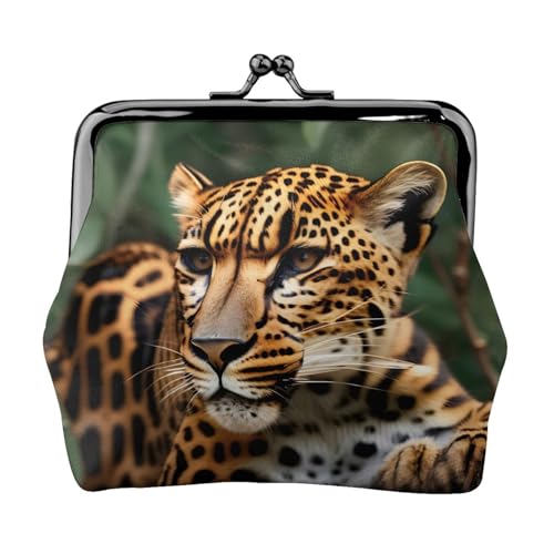 Kleine Geldbörse mit Leopardenmuster, Geldbörse für Damen, Münzbörse für Damen, kleine Damen-Geldbörse, mit Reißverschluss und Kussverschluss, Schwarz, Einheitsgröße, Art Deco von HJLUUFT